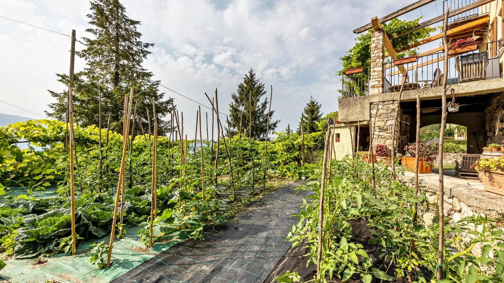 Appartement Nonna Gina à Tignale